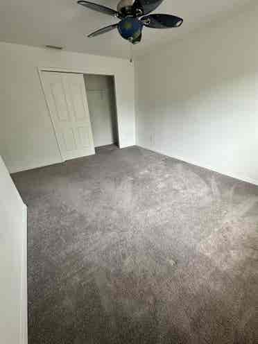 Your New Fun Home