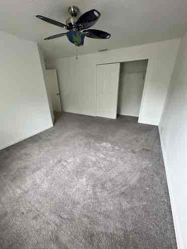 Your New Fun Home