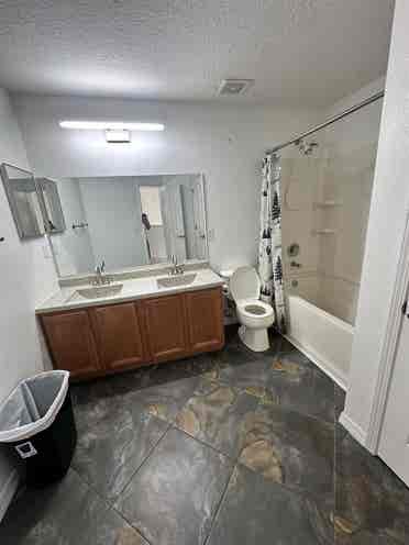 Your New Fun Home