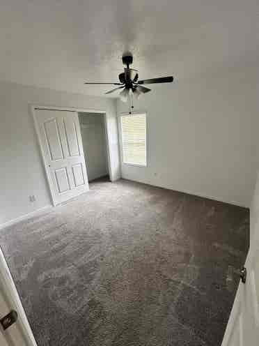 Your New Fun Home