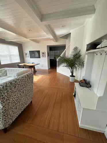 Your New Fun Home