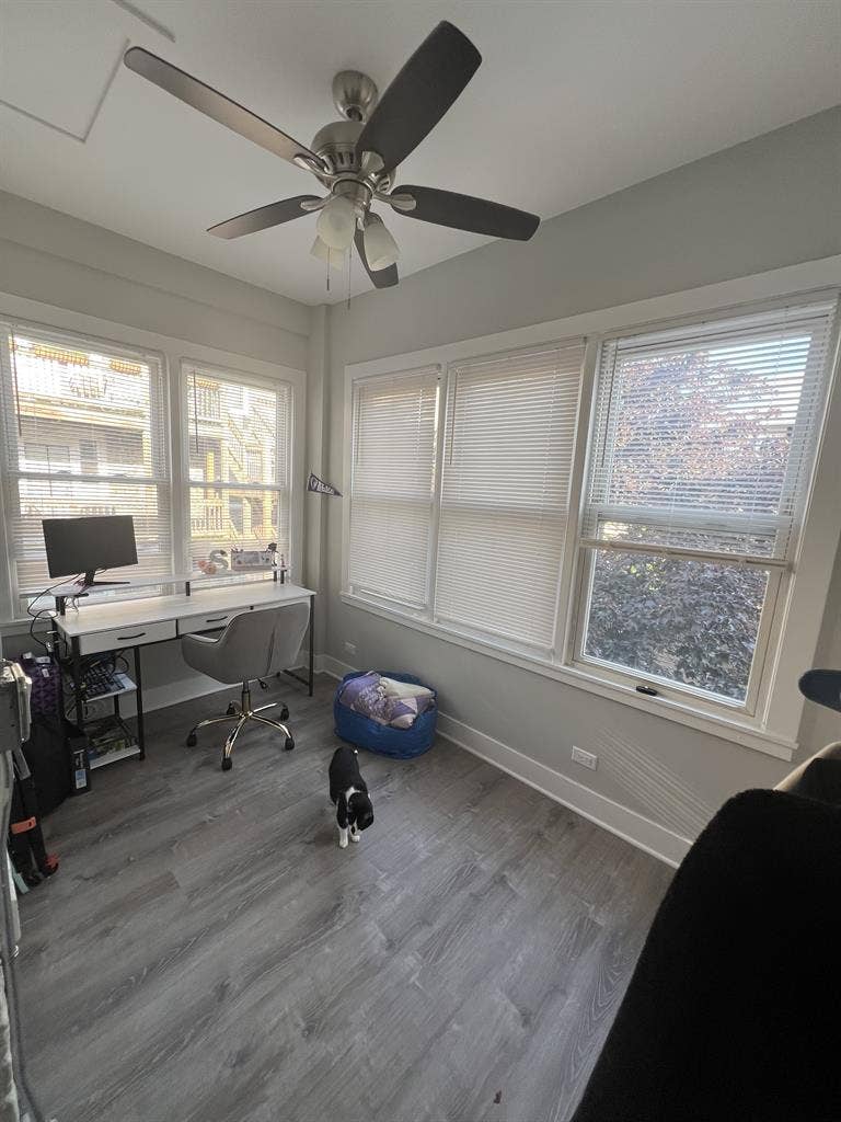 New Listing