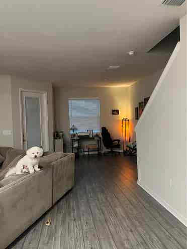 TownHome For Rent Read Desc