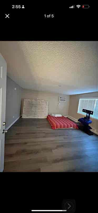 New Listing