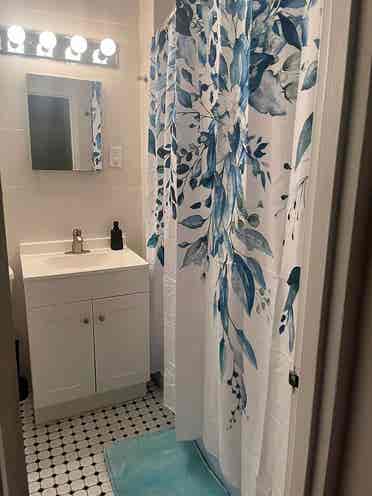 Two Bedroom Apartment in Kips Bay