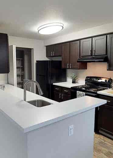 Roommate Needed!