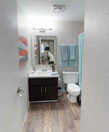 Roommate Needed!