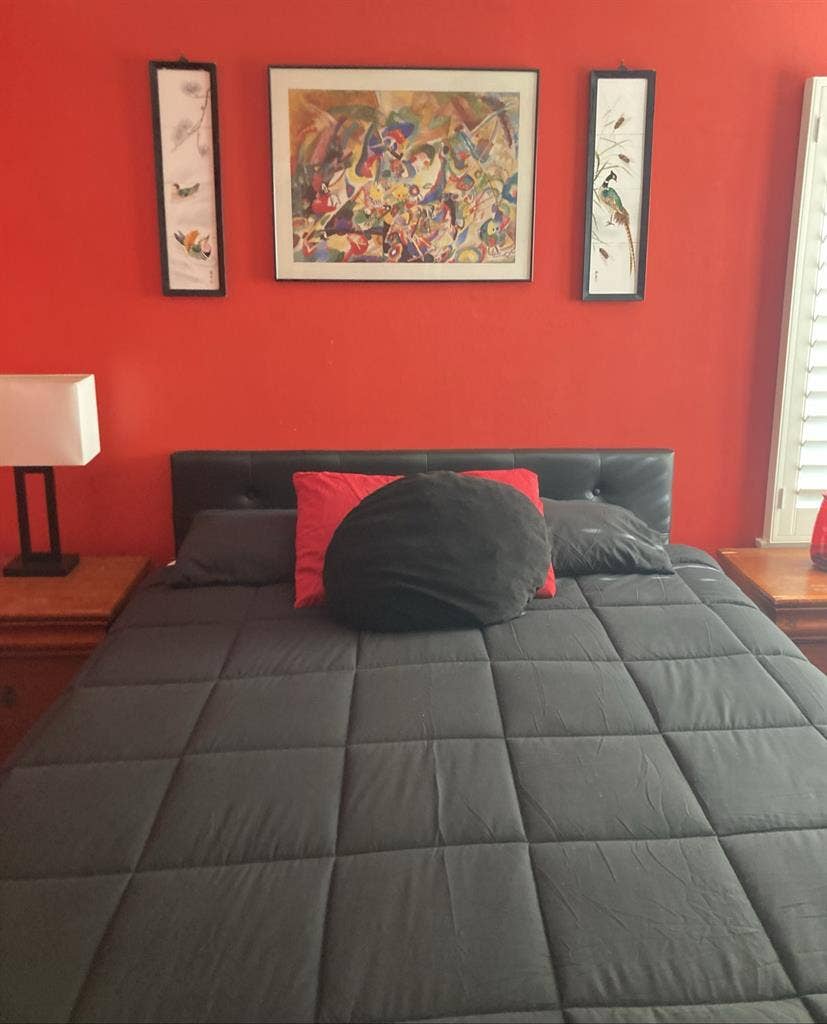 Red & Black Bedroom