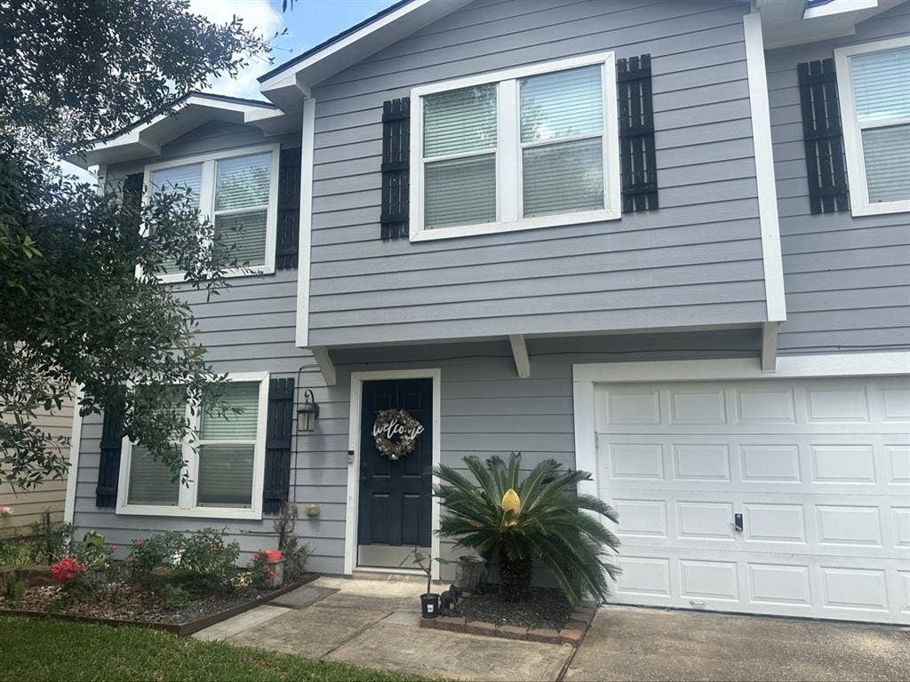 Looking for a roommate