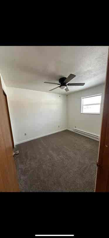 Roommate needed