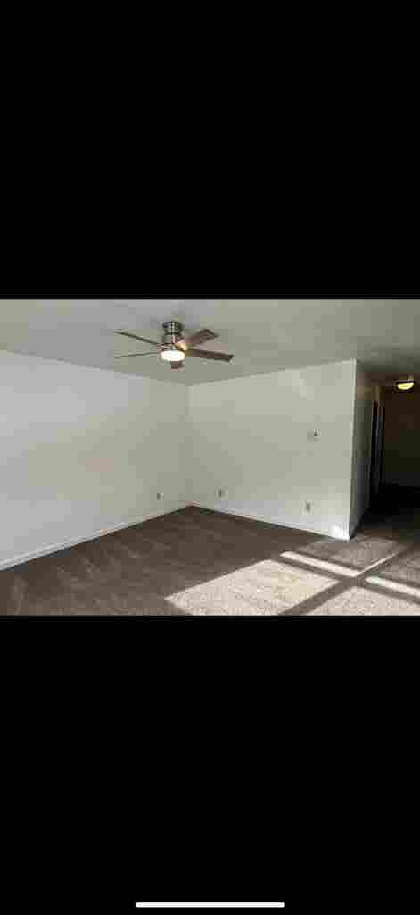 Roommate needed