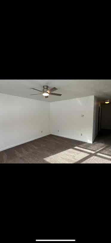 Roommate needed