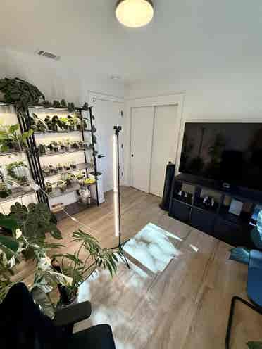 Room for rent in quiet clean house