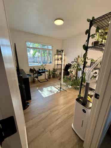 Room for rent in quiet clean house