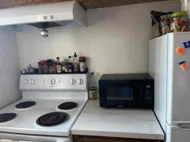 One Bd Apt Near UC Berkeley Campus