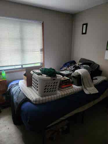 Third roommate wanted.