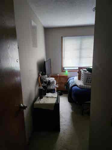 Third roommate wanted.