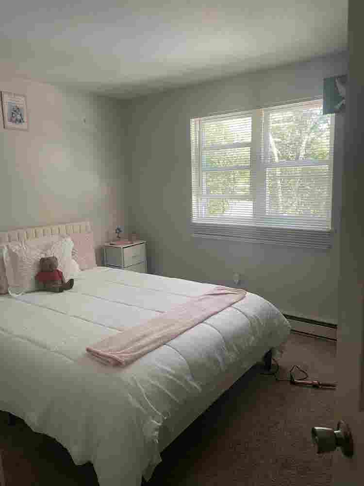 Roommate needed for August
