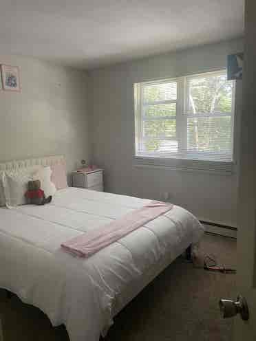 Roommate needed for August