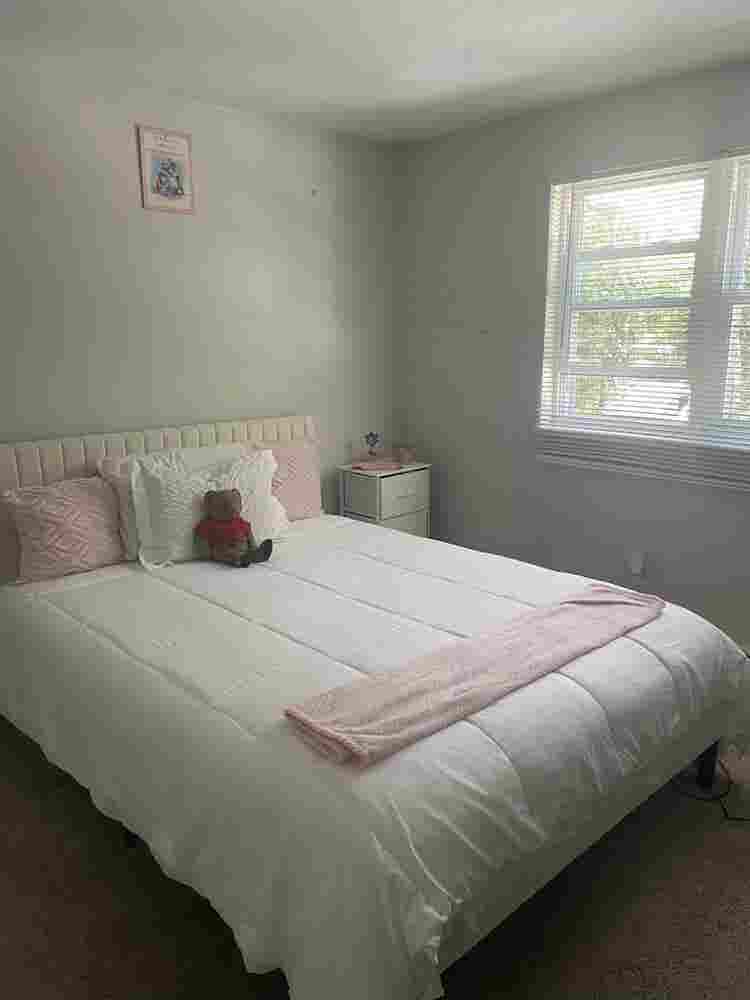 Roommate needed for August