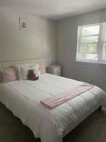 Roommate needed for August