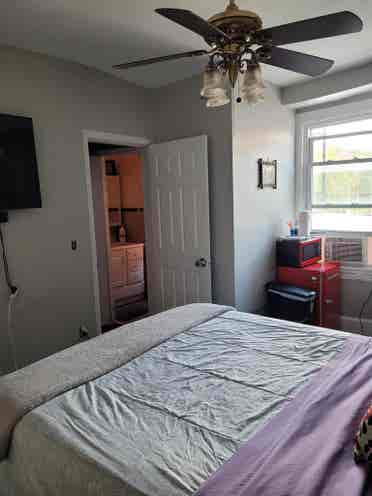 Cozy & Convenient Rooms - N.W. D.C.