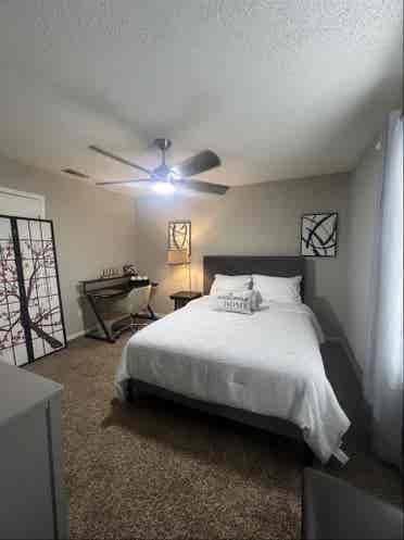 Modern room with fabulous space !