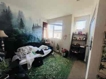 Waverly Drive, #