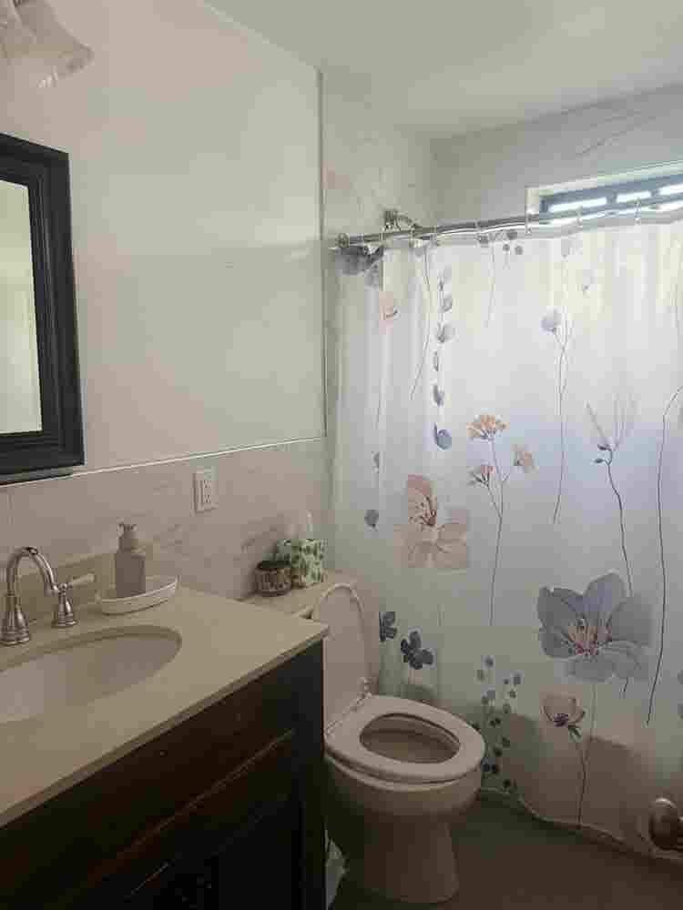 Looking for a roommate