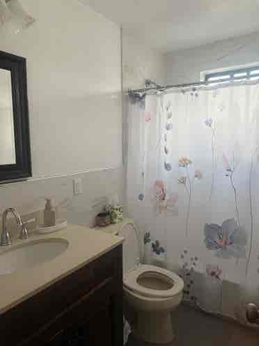 Looking for a roommate