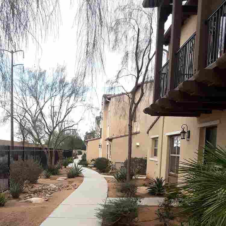 Share my clean, quiet condo