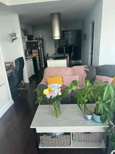 1 ROOM W BATHROOM ON HARBOURFRONT