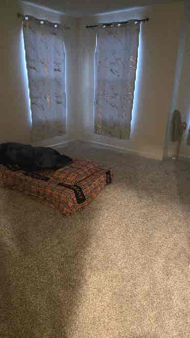 Roommate needed /$/month