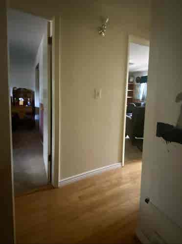 Rooms for Rent in Lakewood Home