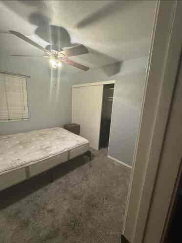 Room for rent