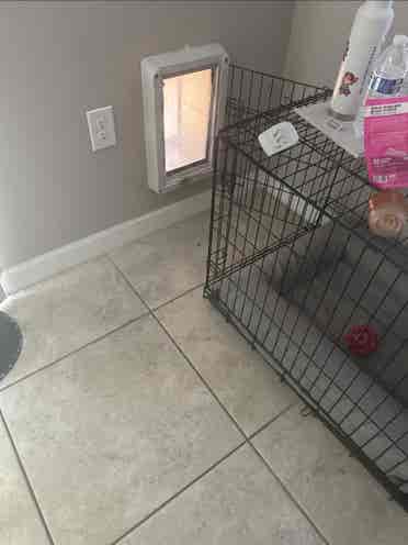 Rooms for rent