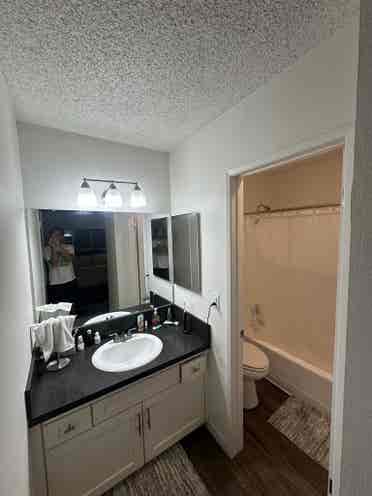 Room for Rent in Newport Beach