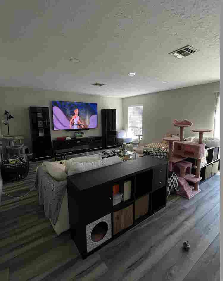 Perfectly placed home in Orlando