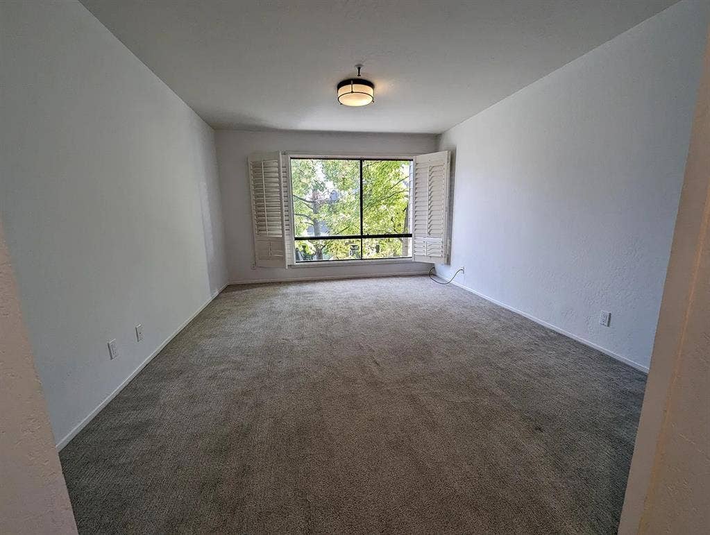 Roommate Needed