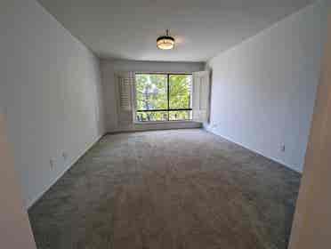 Roommate Needed