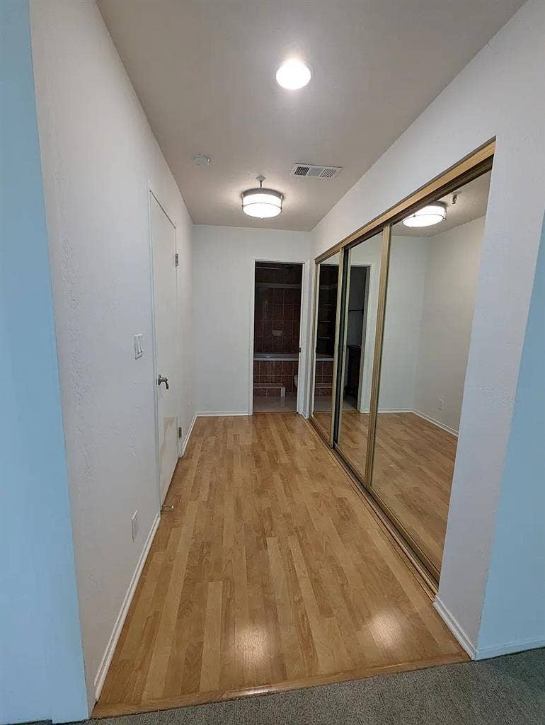 Roommate Needed