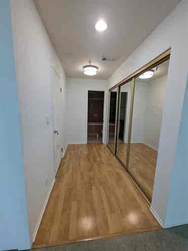 Roommate Needed