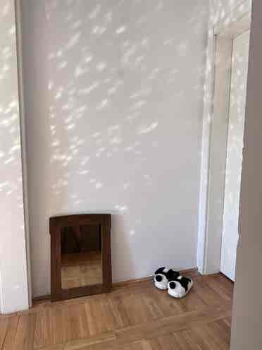 Calm & beauty studio apartment