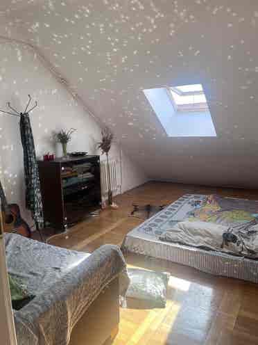 Calm & beauty studio apartment