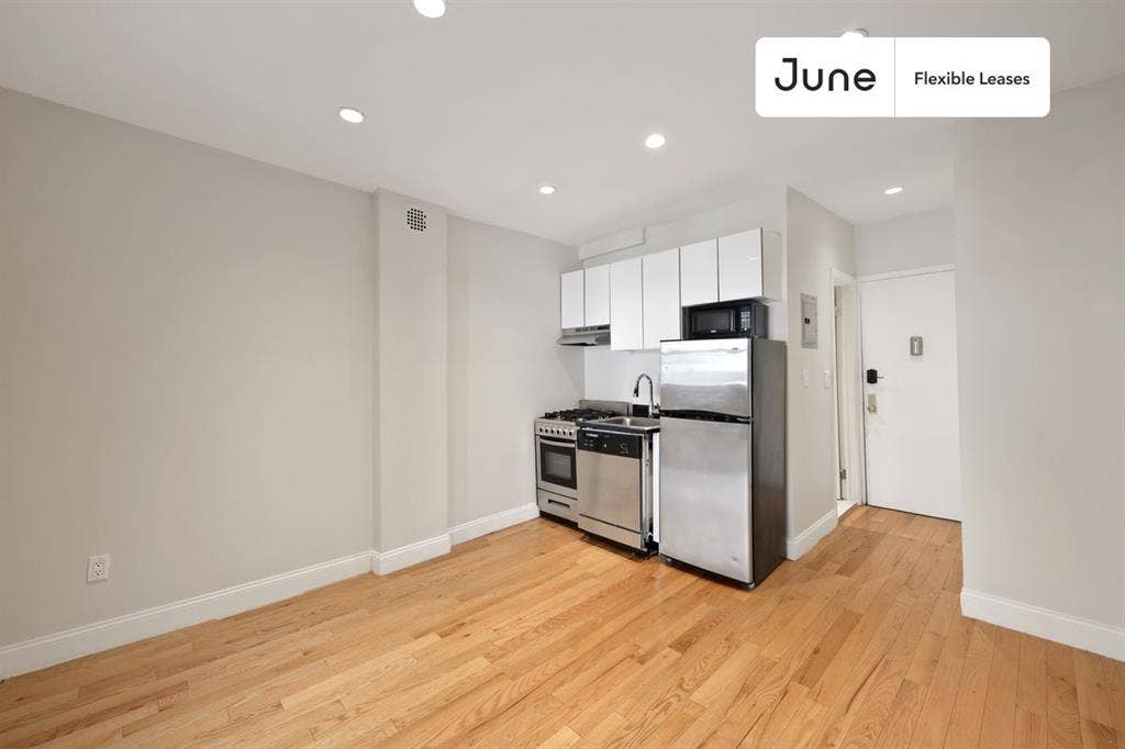 1 BR in New York City