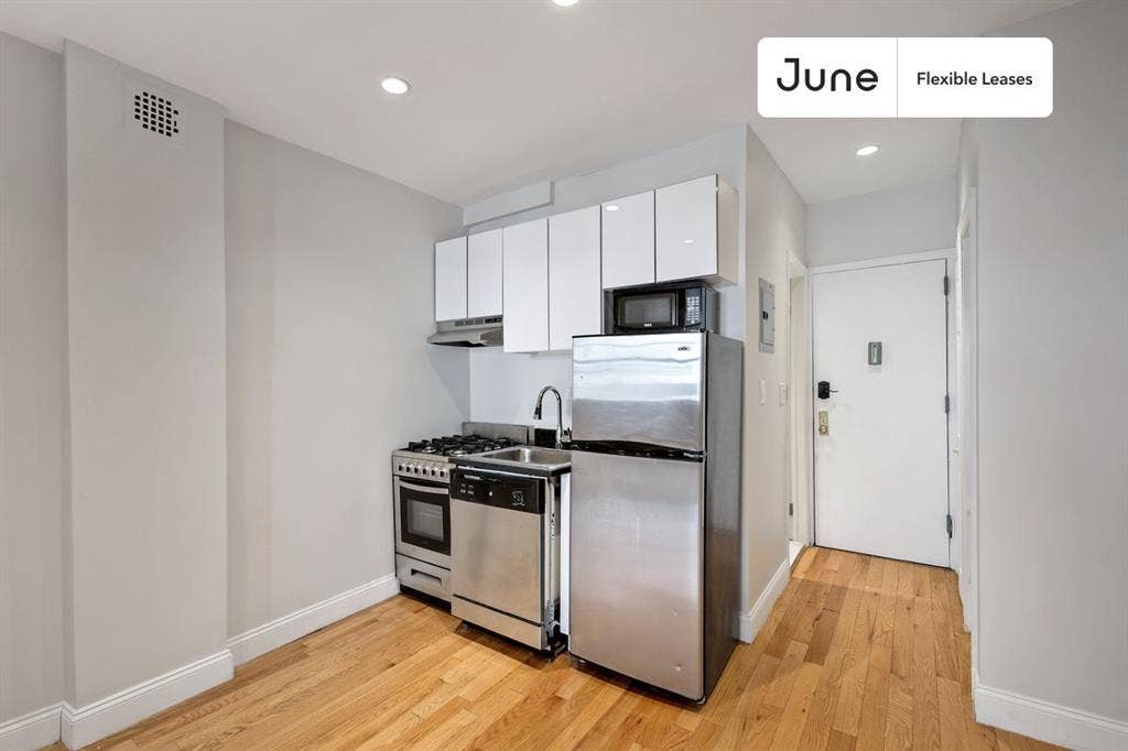1 BR in New York City