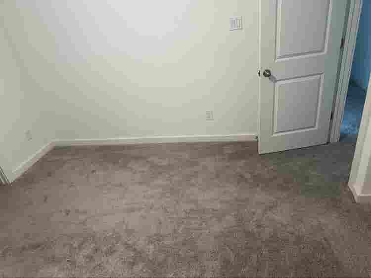 1 Room for rent in Georgetown