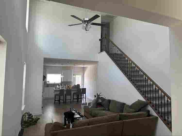 1 Room for rent in Georgetown