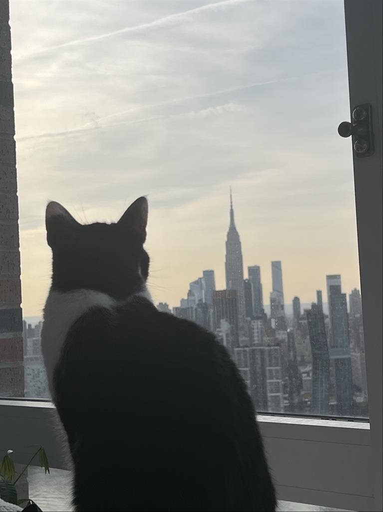 Looking for roommate for August 1st