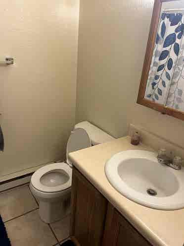 University Apartment
